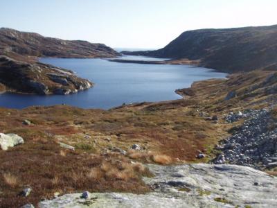 post-6671-0-01152600-1436303171_thumb.jp