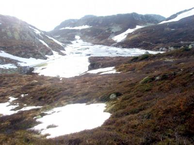 post-6671-0-41660900-1436089147_thumb.jp