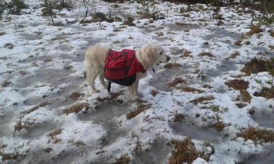 post-6671-0-51226500-1436731126_thumb.jp