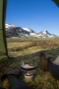 post-7957-0-39857500-1438275553_thumb.jp