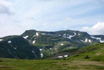 post-9055-0-51059200-1436121614_thumb.jp