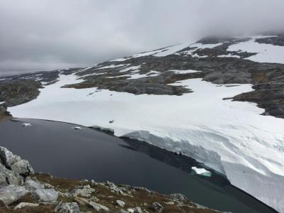 post-9562-0-27365500-1437229212_thumb.jp