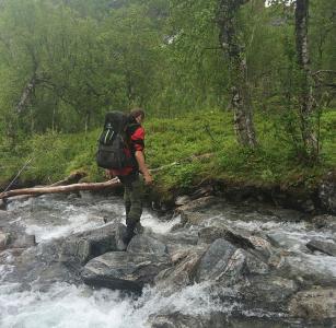 post-9562-0-32421200-1437229175_thumb.jp