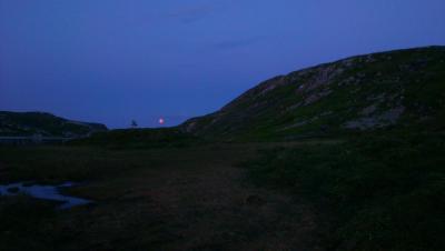 post-9801-0-06311800-1437031312_thumb.jp