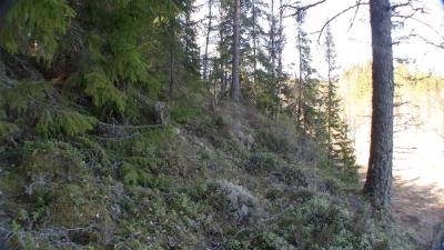 post-9907-0-73338400-1437599907_thumb.jp