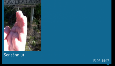 post-9907-0-86072700-1436901238_thumb.pn