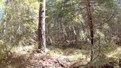 post-9907-0-90201000-1436804807_thumb.jp