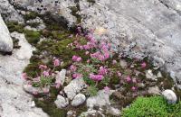 post-1073-0-23267800-1344847675_thumb.jp