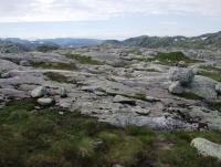 post-1073-0-72340600-1344847642_thumb.jp