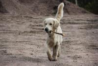 post-11141-0-02888200-1345981879_thumb.j