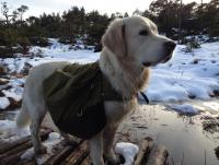 post-11141-0-11509700-1345981944_thumb.j