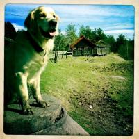 post-11141-0-28674400-1345981990_thumb.j