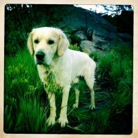 post-11141-0-69246100-1345982020_thumb.j