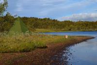 post-11185-0-68146700-1345395490_thumb.j