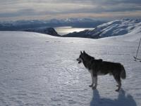 post-11193-0-46559900-1345973214_thumb.j