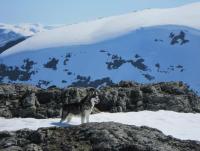 post-11193-0-52102000-1345973143_thumb.j