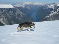 post-11193-0-98130800-1345973104_thumb.j