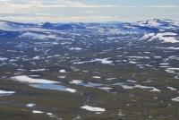 post-1580-0-26775700-1344448475_thumb.jp