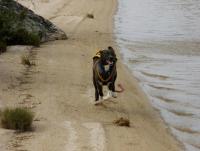 post-2056-0-16002400-1345979217_thumb.jp