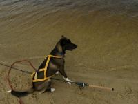 post-2056-0-63771000-1345979328_thumb.jp