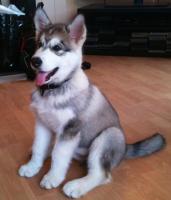 post-6441-0-11382900-1345998300_thumb.jp