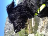 post-7046-0-76363100-1346229445_thumb.jp