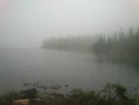 post-7957-0-51951600-1344188976_thumb.jp