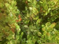 post-7957-0-86487600-1344189193_thumb.jp