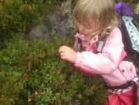 post-7957-0-94157100-1344189158_thumb.jp