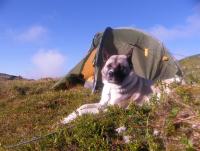 post-8832-0-10822300-1345058884_thumb.jp