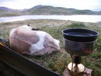 post-8832-0-43074200-1345059057_thumb.jp