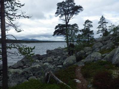 post-10401-0-02721300-1377454891_thumb.j