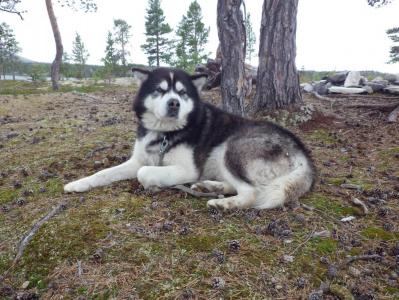 post-10401-0-25065400-1377454873_thumb.j