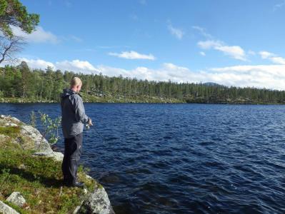 post-10401-0-30657700-1377454928_thumb.j