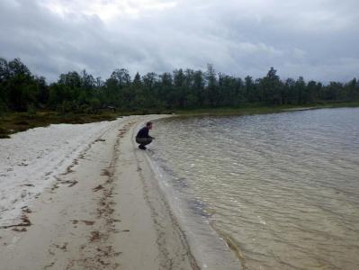 post-10401-0-31592000-1377454212_thumb.j