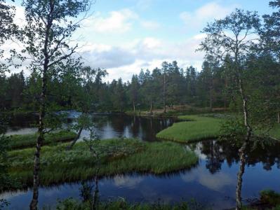 post-10401-0-34481100-1377454227_thumb.j