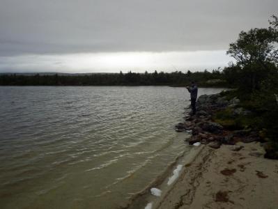 post-10401-0-35191600-1377454205_thumb.j