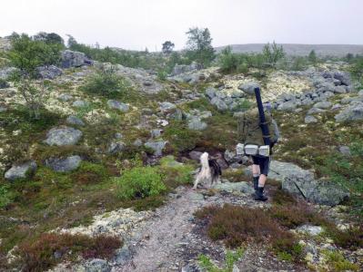 post-10401-0-40350500-1377454562_thumb.j