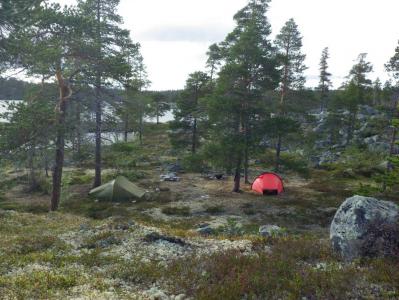 post-10401-0-74513100-1377454921_thumb.j