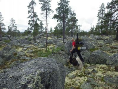 post-10401-0-74585100-1377454503_thumb.j