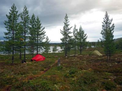 post-10401-0-99174000-1377454530_thumb.j