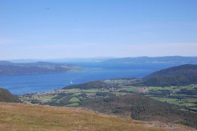 post-11774-0-35144100-1375559434_thumb.j