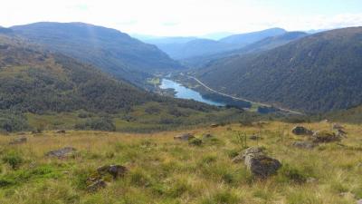 post-12082-0-30936100-1377462138_thumb.j