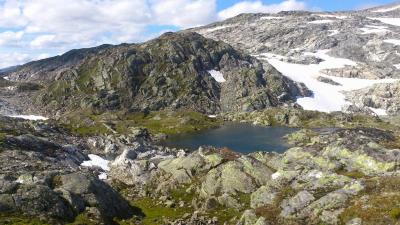 post-12082-0-35654700-1377462431_thumb.j