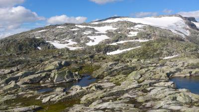 post-12082-0-59747100-1377462369_thumb.j