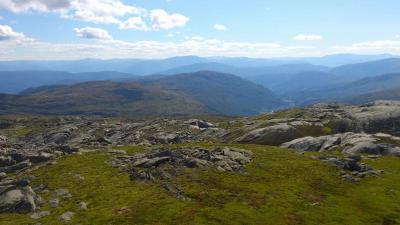 post-12082-0-75890200-1377462280_thumb.j