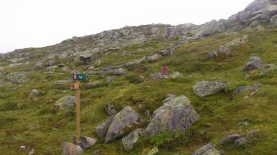 post-12082-0-82880600-1376776077_thumb.j