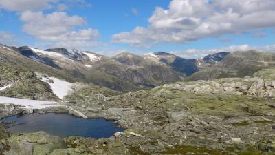 post-12082-0-87696100-1377462392_thumb.j