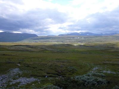 post-1735-0-39878400-1375785204_thumb.jp