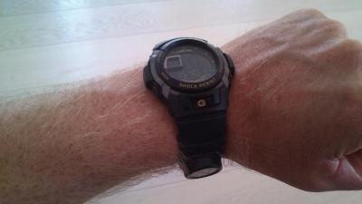 post-2989-0-63999200-1375710471_thumb.jp